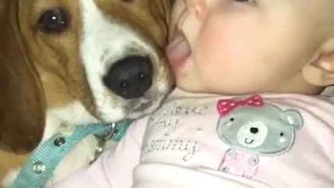 Cute Baby and dog: Funny video