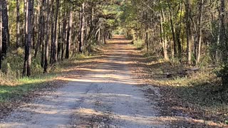 Country backroad backwards