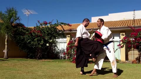 Aikido Atemi (Kick and Punch)