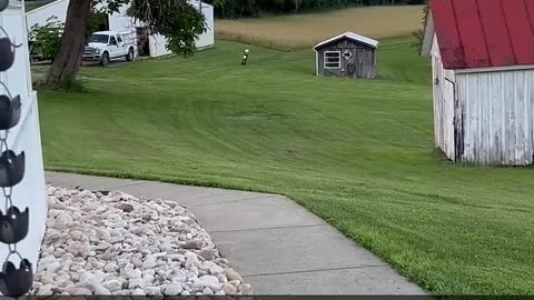 Grandparents Hate This Motorbike