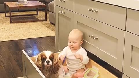 This precious baby & dog playtime is a cuteness overload!