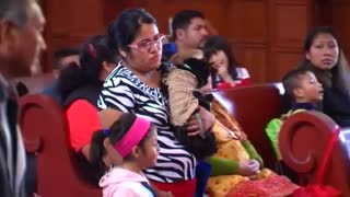 Mexican pets splashed with holy water in Catholic blessing