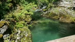 Beautiful day tour in Slovenia, to Vintgar Gorge