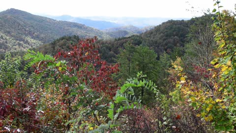 Fall in the Smoky Mountains