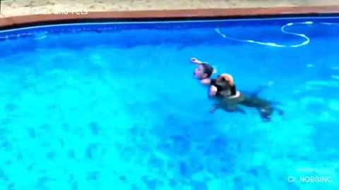 Hero Dog Saves Babies Out of The Water 🐶🏊 Dog Loves Baby