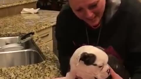 Wife Surprises Husband With Puppy After Losing Bulldog Of 11 Years.. Emotional Dog Video