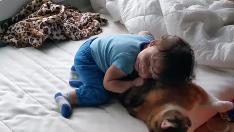 baby and cat love each other