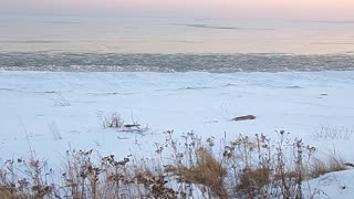 Lake Michigan in February