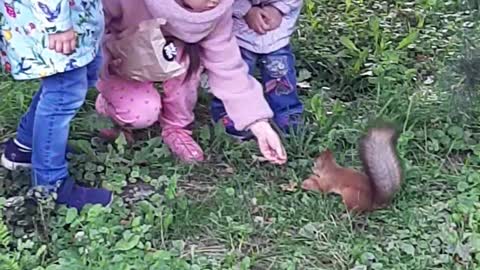 Children feed a squirrel in the park.