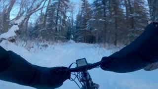 fat tire bike alaska