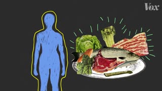The Ketogenic diet ,explained wieght loss,