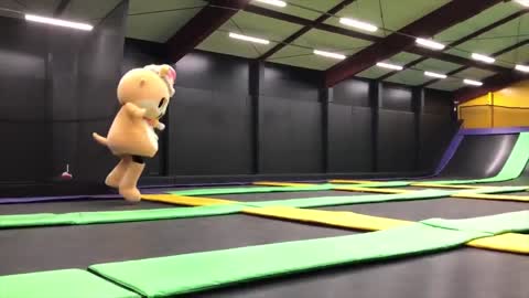 Japanese Mascot Fails, Fights & Funny Moments Video :)