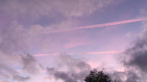 Pink Chemtrails (as Far as The Eye Can See)