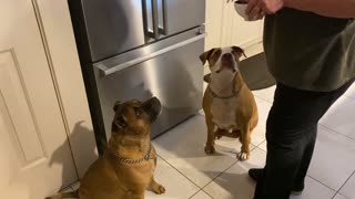 Gary and Basil having an entree before Dinner