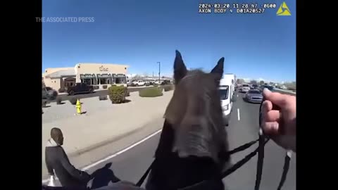 Shoplifter chased by police on horseback in New Mexico