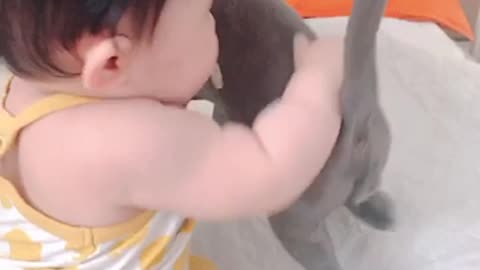 Baby plays with cat's ears