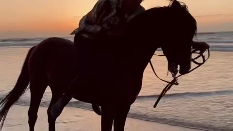 Wild Horse Riding on Beach with an amazing view - free run