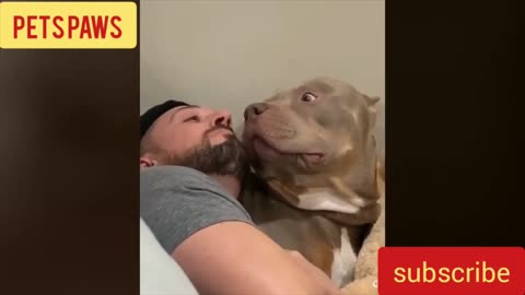 Funny Dogs Funny Owners You will be shocked!!!!!!!!!!!!