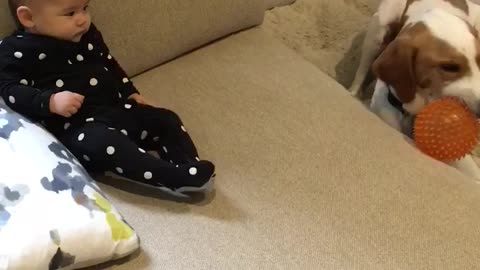 Dog entertains baby during rainy day