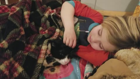 Compassionate little girl helps comfort feral cat