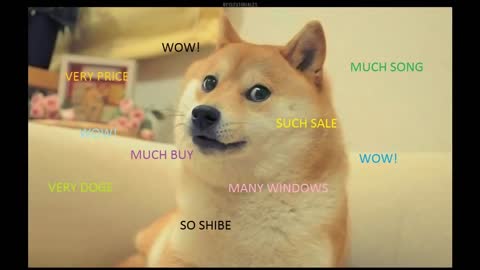 Doge Song