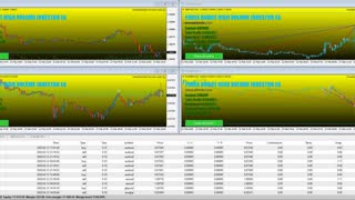 FOREX ROBOT HIGH VOLUME INVESTOR - FOREX HIGH FREQUENCY SCALPING STRATEGY ON THE AUTOPILOT