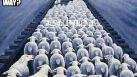 The Sheeple