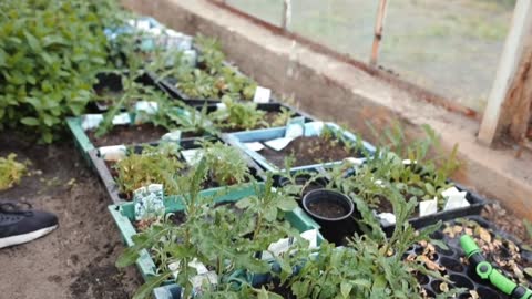 Organic Gardening Practicality: No.1 Selling Gardening Offer