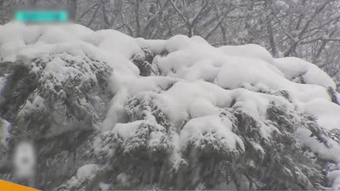 🚨 ALERT: South Korea Sets New Snowfall Record! 🚨
