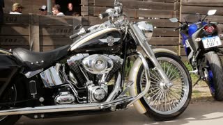 Harley Davidson short view