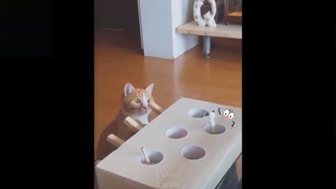 💗Cute And Funny Pets_|_Try_Not_To_Laugh_To_These_Pets_Compilation_#7💗_Cutest_Lands