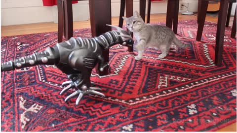 Robot dinosaur interaction with the Cats