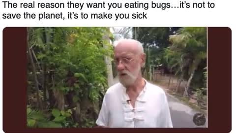 The Real Reason they want you to eat bugs...