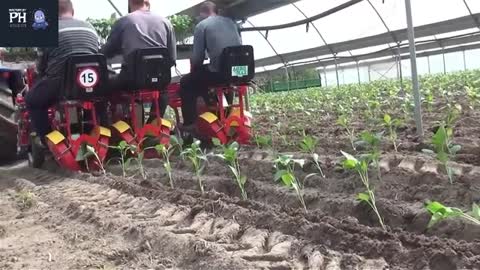 Amazing Automatic Seedling 2021: Amazing Modern Farm Equipment