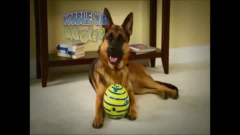 Dog Toy, Fun Giggle Sounds When Rolled or Shaken, Pets Know Best, As Seen On TV