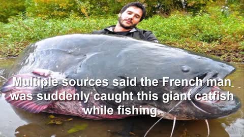 The man caught catfish in the world 4m long crisis