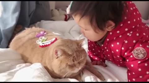 Loving Family Cat Always There For His Little Human Sister