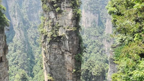 The beauty of the forest and the mountains