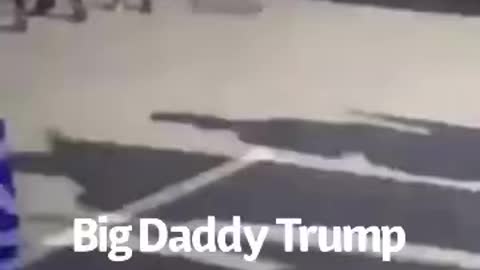 Big Daddy Trump is in town