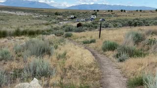 Bison intercepts mountain bikers!