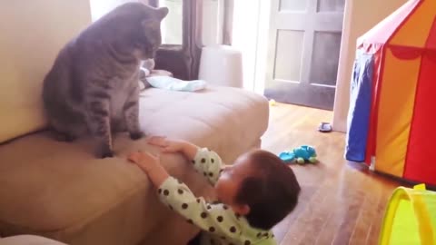 Cats and Babies best videos of babies and Animals Playing a lot