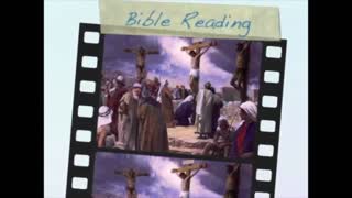 November 15th Bible Readings