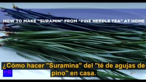 Suramina agujas de pino la salida para los vacunados pandemia plandemia 19-COV