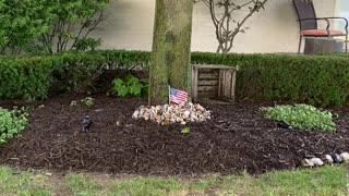 All My Great Lakes Rocks Displayed