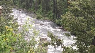 Upper Mesa Falls In Idaho, Stunning Waterfall!