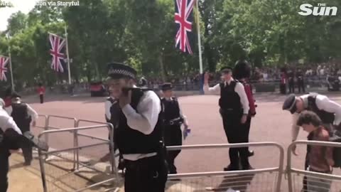 Protesters storm into marching band during Jubilee Trooping the Colour