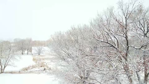 Snow Day Delta Colorado