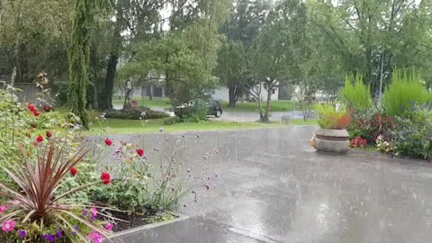 Raining surprise in Switzerland