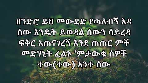 Ejigayehu Shibabaw Gigi - tew ante sew | እጅጋየሁ ሽባባው(ጂጂ) - ተው አንተ ሰው Ethiopian Music (Lyrics Video)