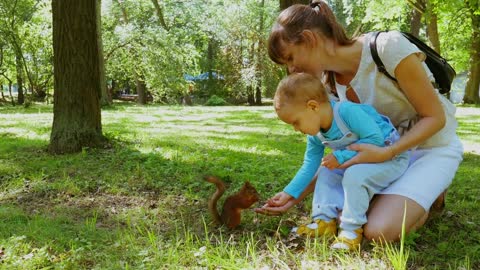 Mother and her little baby boy feeding squirrel in summer park. Squirrel eats nuts from hand